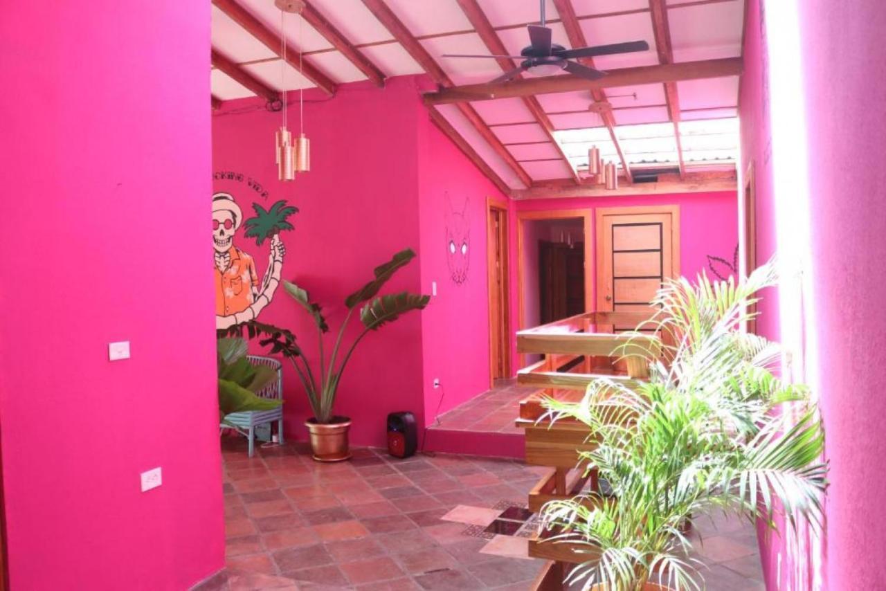 Planet B Hostel - Adults Only Nationalpark Nationalpark Manuel Antonio Exterior foto